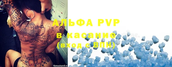 прущие грибы Балахна