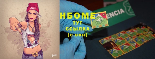 прущие грибы Балахна
