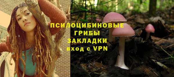прущие грибы Балахна