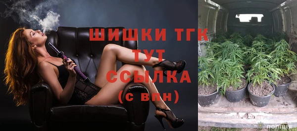 прущие грибы Балахна