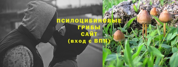 соль ск Балабаново